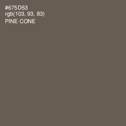 #675D53 - Pine Cone Color Image